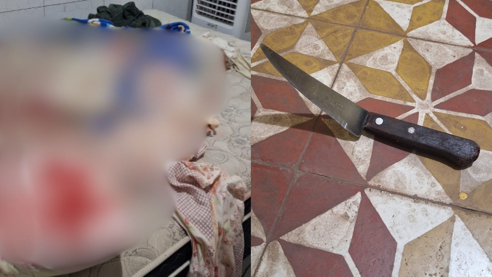 Mulher é esfaqueada e companheiro é preso por tentativa de feminicídio no Norte do Piauí