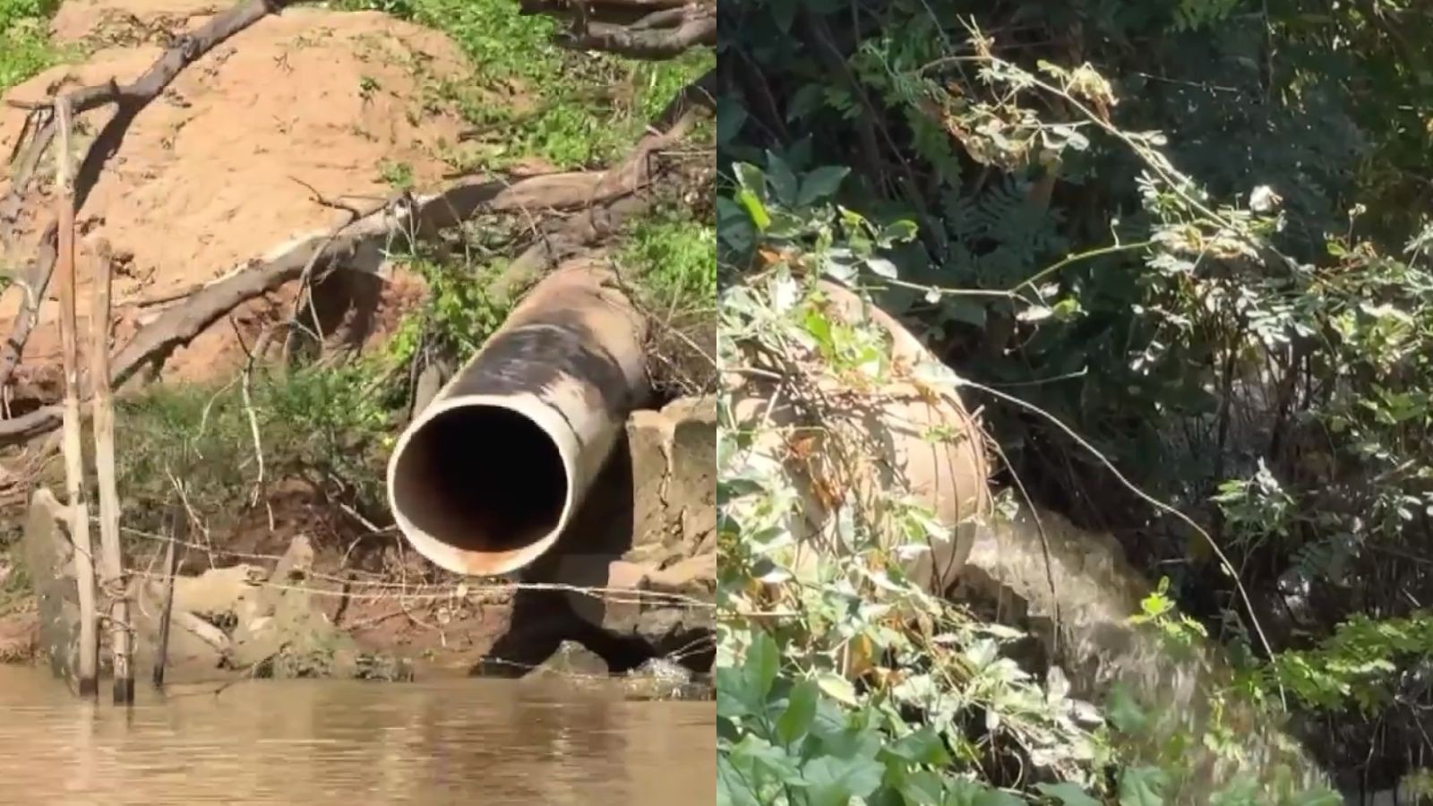 Água visivelmente suja é despejada no Rio Parnaíba, denuncia comunidade; 'verde o tempo todo', diz pescador