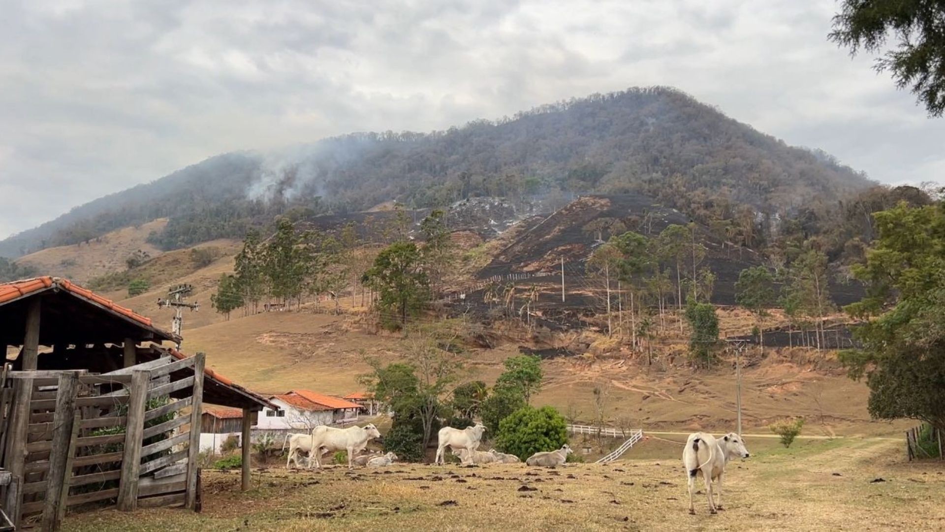 Incêndio de grandes proporções atinge Morro de Bofete; terreno íngreme dificulta combate