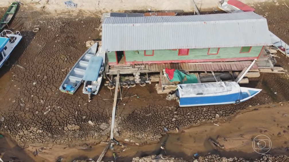 Mudanças climáticas tiveram peso maior do que o El Niño na seca da Amazônia em 2023, aponta estudo — Foto: Jornal Nacional/ Reprodução