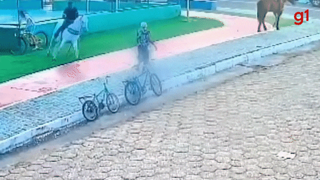 VÍDEO: cavalo se descontrola e atinge idosa em praça no interior do MA; vítima sofreu fraturas 
