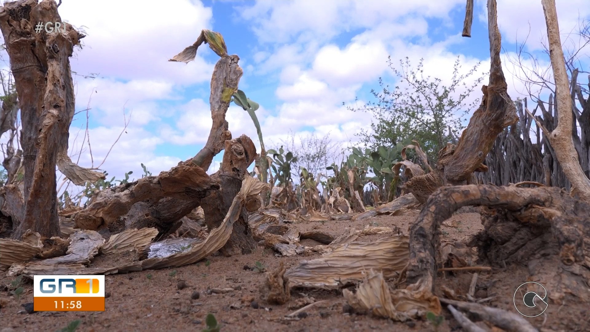 VÍDEOS: GR1 de sexta-feira, 20 de fevereiro