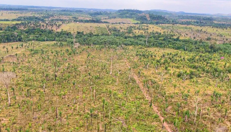 MP-RO pede R$ 90 milhões por desmatamento na Amazônia