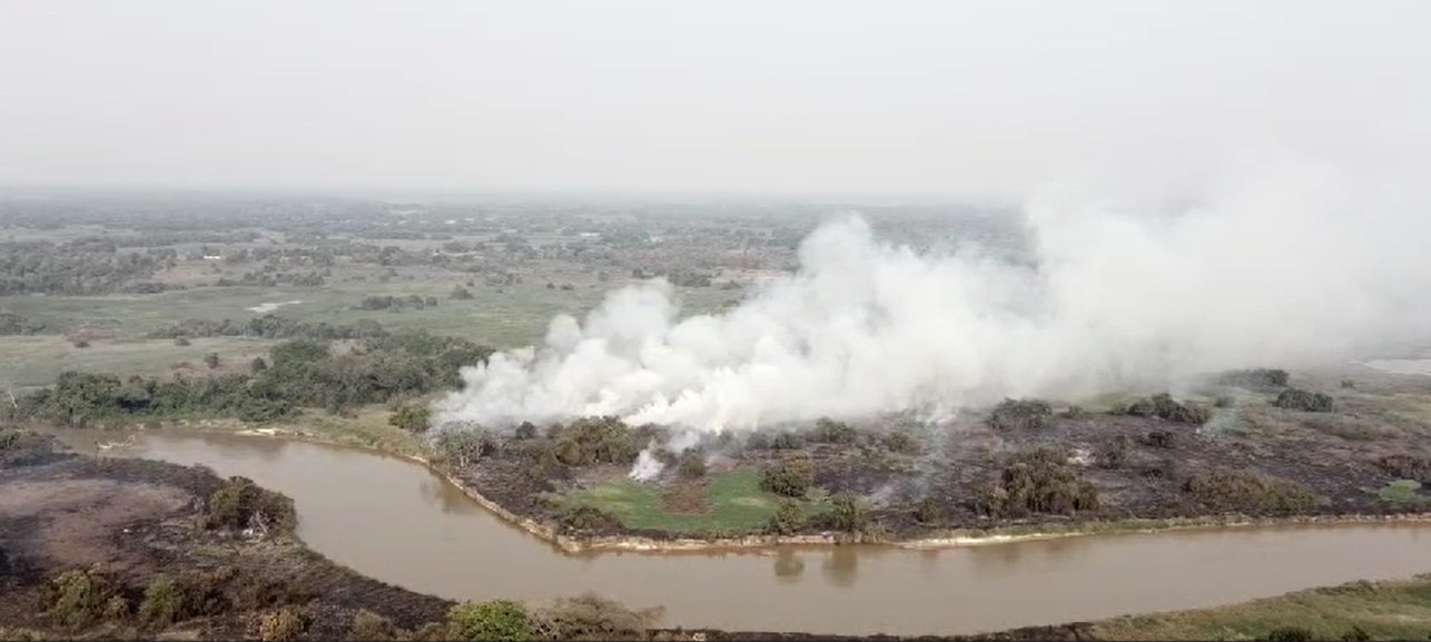 Queimadas criminosas: 17 pessoas são presas por causar incêndios florestais neste ano em MT