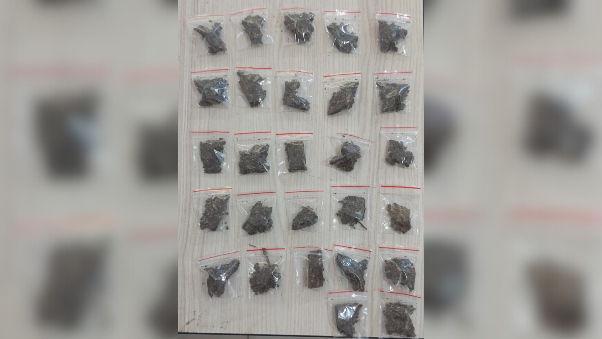 Criança e adolescente são acolhidas após denúncia de que a mãe usa e vende drogas na presença delas