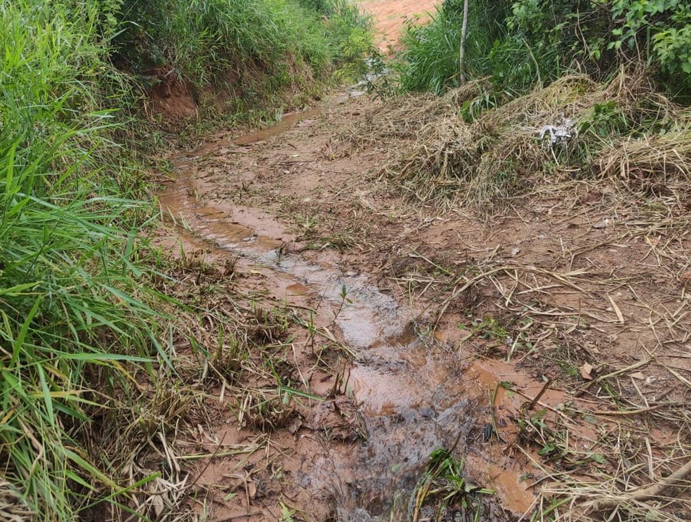 Fazendeiro é multado em R$ 8 mil por degradar Área de Preservação Permanente (APP), em Martinópolis (SP) — Foto: Polícia Militar Ambiental