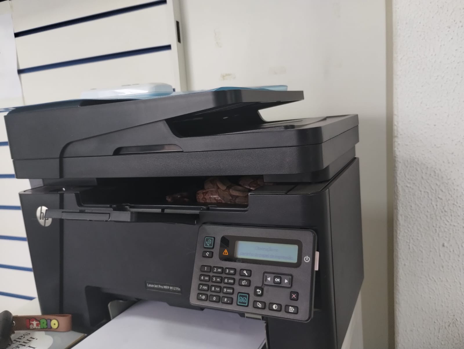 Recepcionista é surpreendida ao encontrar jiboia dentro de impressora de oficina em MG; VÍDEO