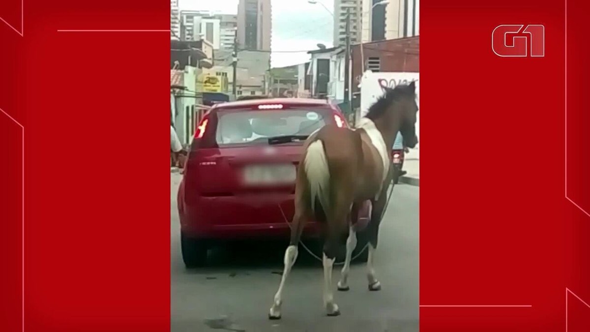 Motorista é flagrado puxando cavalo com corda ao lado de carro em