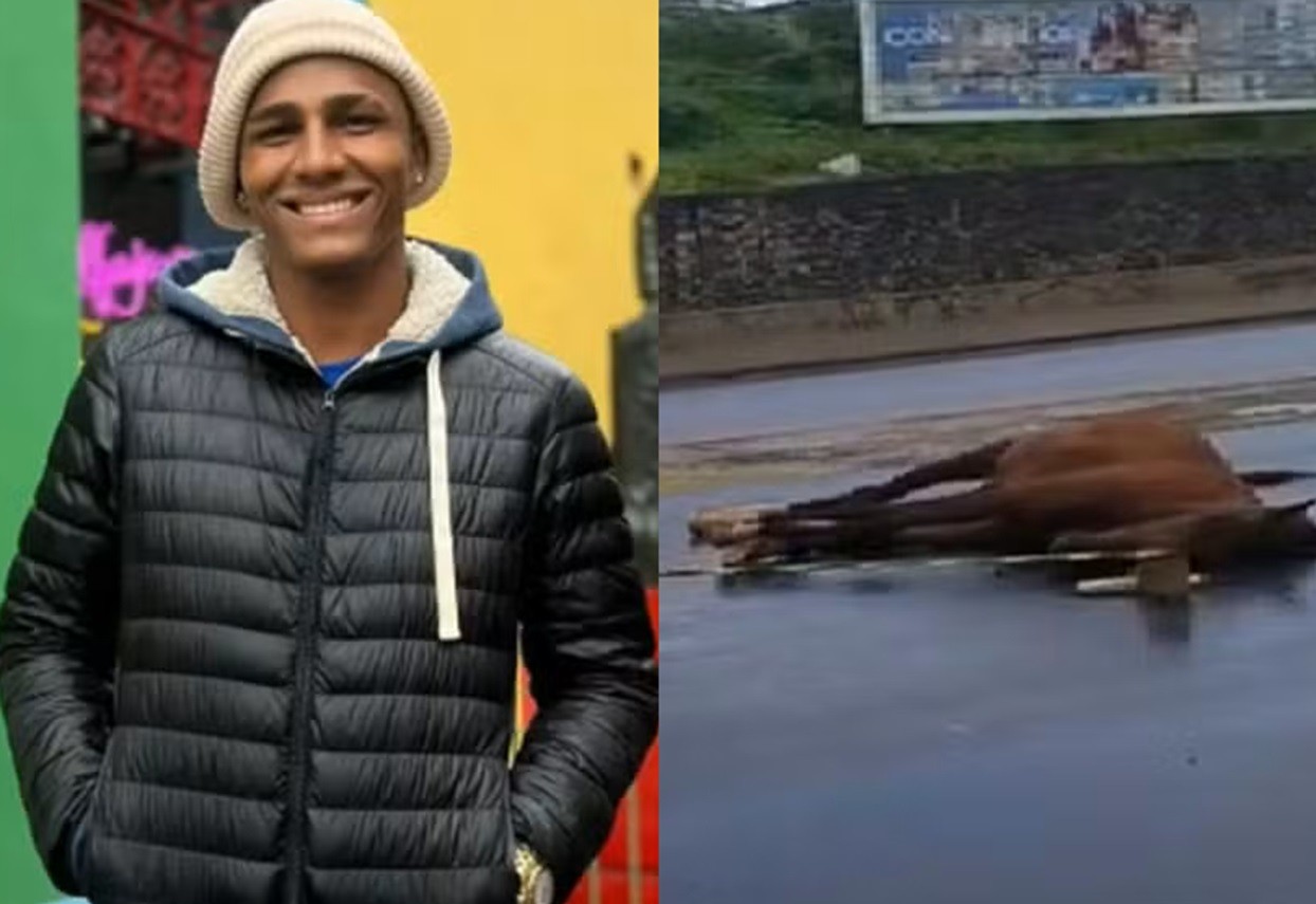 Motociclista morre após bater em cavalo que andava solto em Olinda