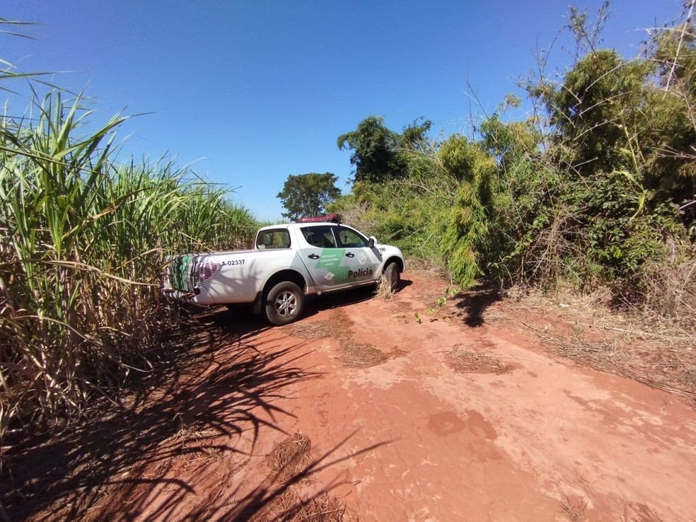Operação Huracan registra irregularidades em aceiros de lavouras do Oeste Paulista — Foto: Polícia Ambiental