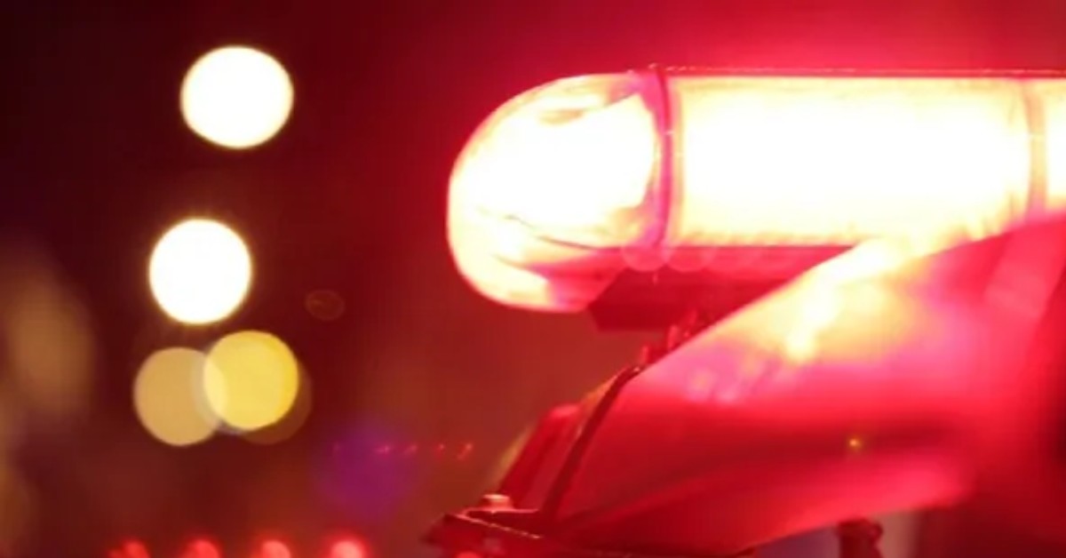Homem é preso suspeito de matar idoso atropelado