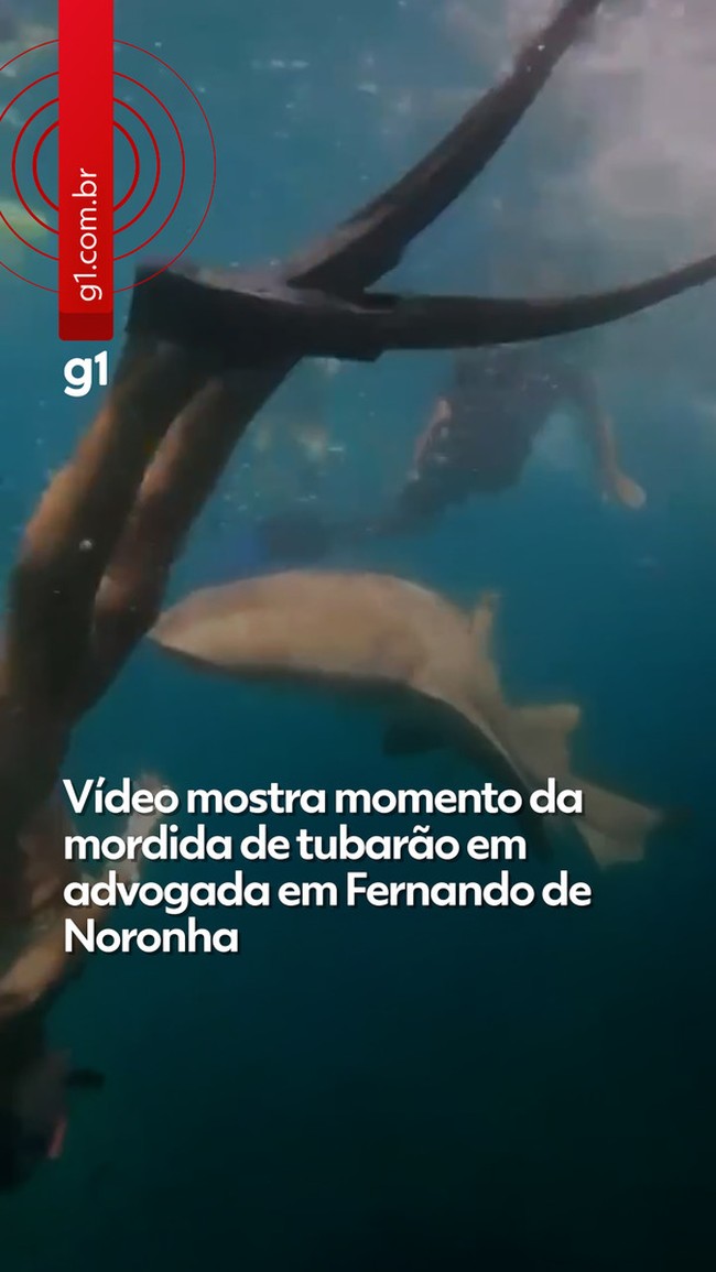 Recife abre inscrições para profissionais de saúde que quiserem trabalhar no Samu no carnaval e outros eventos; veja como se inscrever