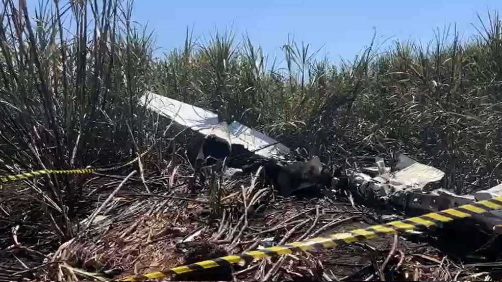 Destroços do avião monomotor Cessna, que caiu na madrugada deste sábado (18), em área de canavial em Altair (SP): piloto morreu carbonizado — Foto: Muryel Boian/TV TEM