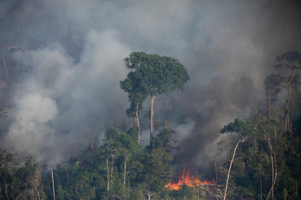 Sobrevoo de 2022 na região da Amacro (Amazonas, Acre e Rondônia), em uma área com cerca de 8.000 hectares de desmatamento. — Foto: © Nilmar Lage / Greenpeace / Divulgação