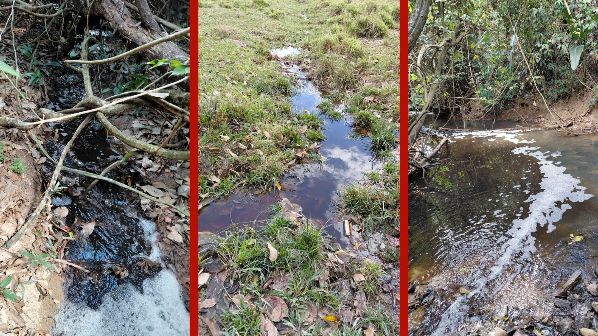 MP cobra R$ 1 milhão de frigorífico por descumprimento de acordo ambiental em MT