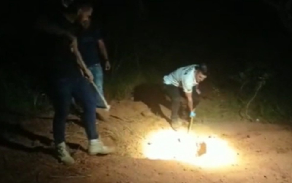 Polícia encontra corpos enterrados em covas em Porangatu — Foto: Polícia Civil/Divulgação