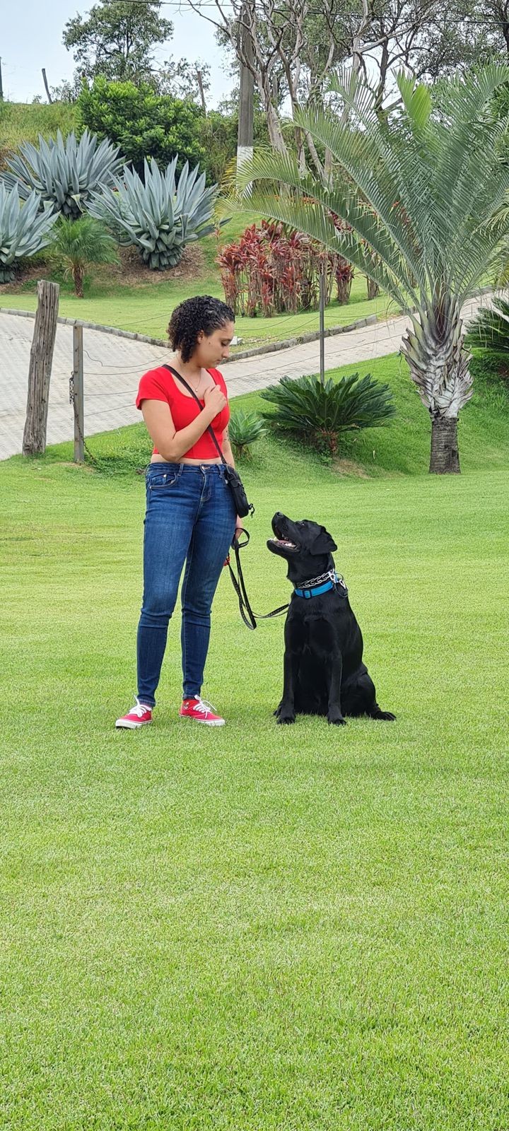 Universitária autista treina o próprio cão de assistência para evitar crises dentro e fora da aula: 'Me ajuda a ser mais sociável'