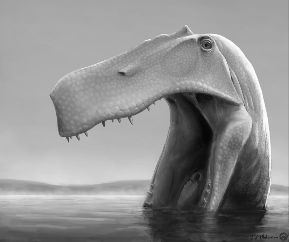 Imagem digital de como seria o dinossauro anfíbio Irritator challengeri — Foto: Reprodução/Olof Moleman