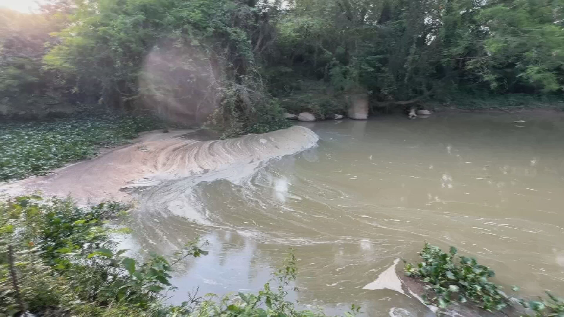 Você Não Tá Convidada pro Meu Bat Mitzvá!