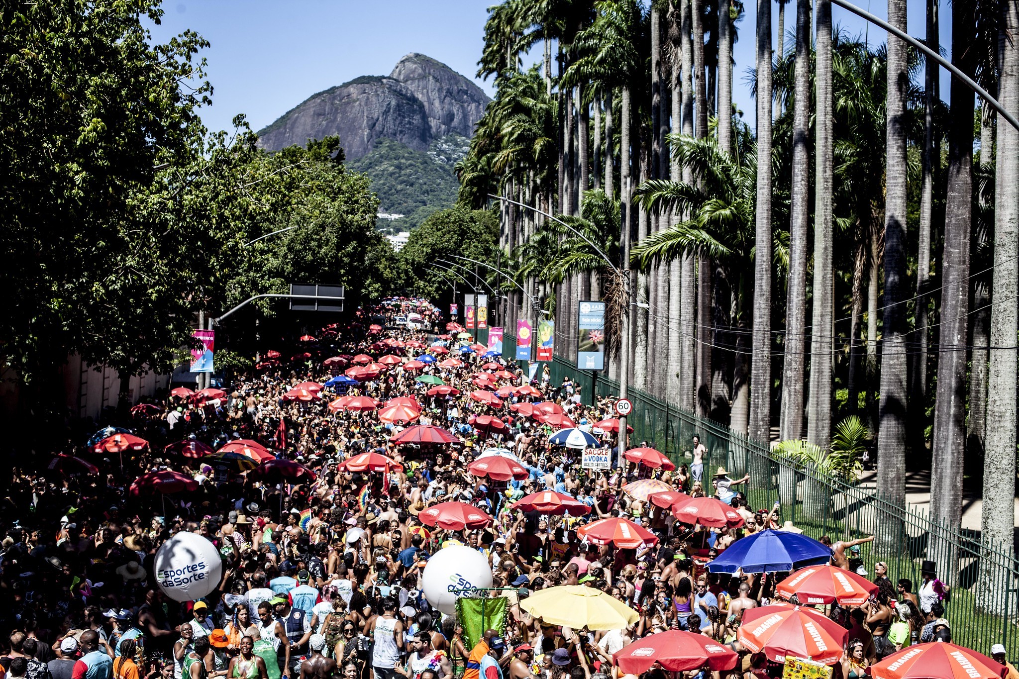 Fervo da Lud, Orquestra Voadora e Banda de Ipanema desfilam nesta terça no Rio; Cidade terá 60 blocos oficiais