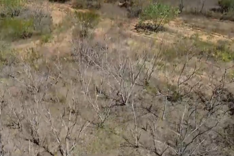 desertificacao semiarido pb