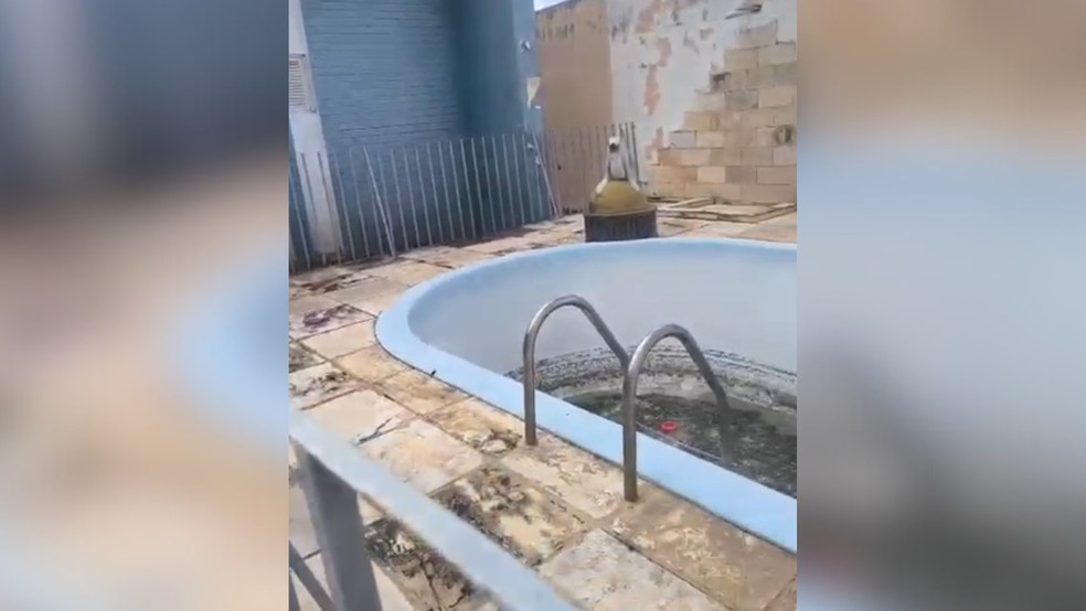 Pais denunciam condições de casa para tratamento de crianças com autismo — Foto: Reprodução