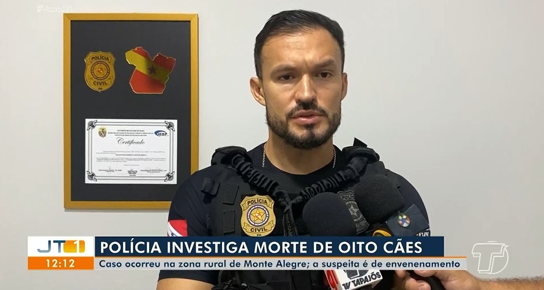 Polícia investiga morte de oito cães com suspeita de envenenamento em Monte Alegre