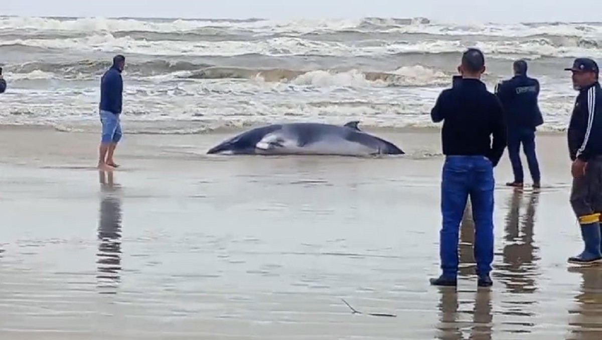 Você Não Tá Convidada pro Meu Bat Mitzvá!