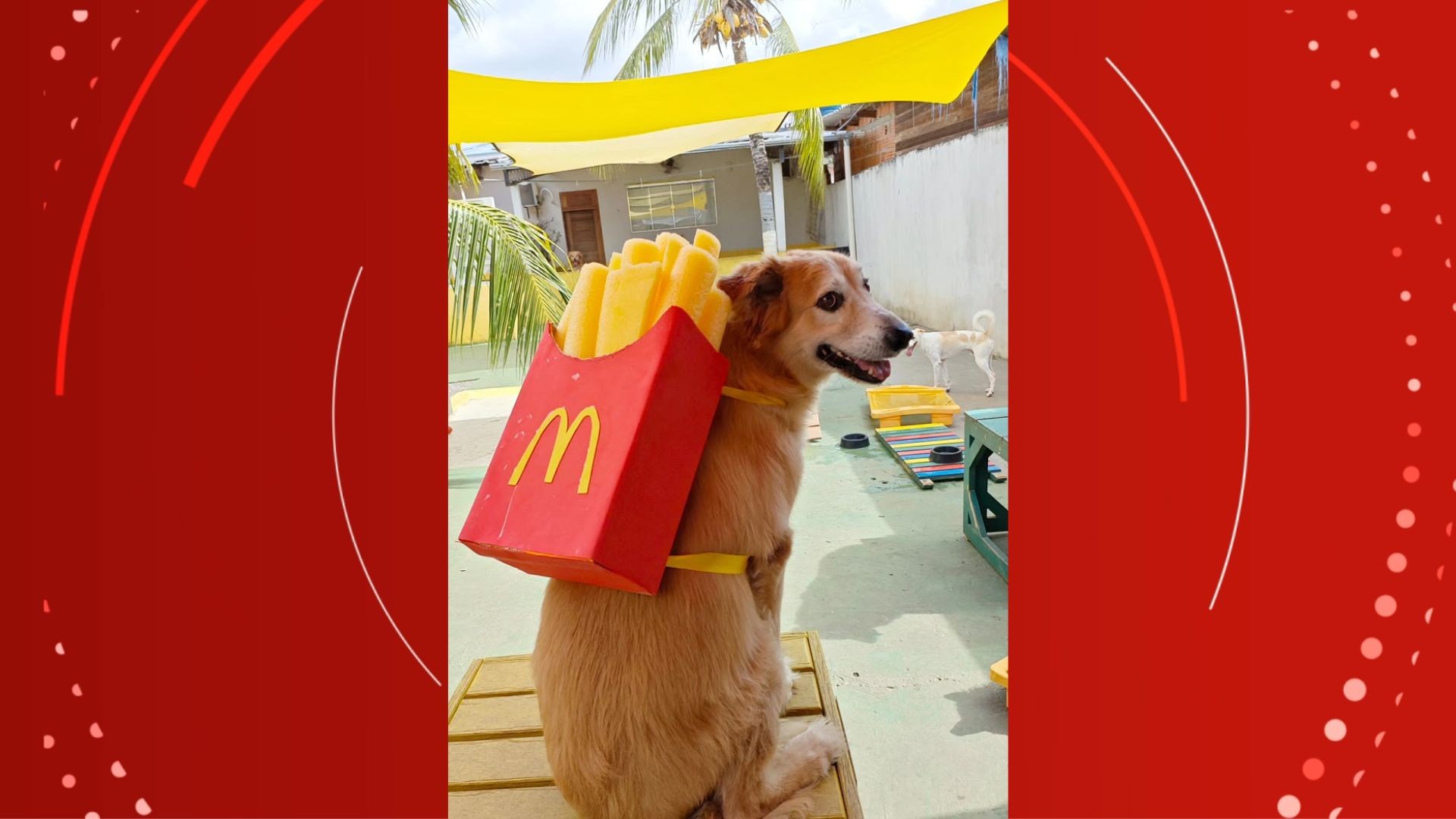 Buck Jones com mochila de batata frita — Foto: Karina Barros/Divulgação