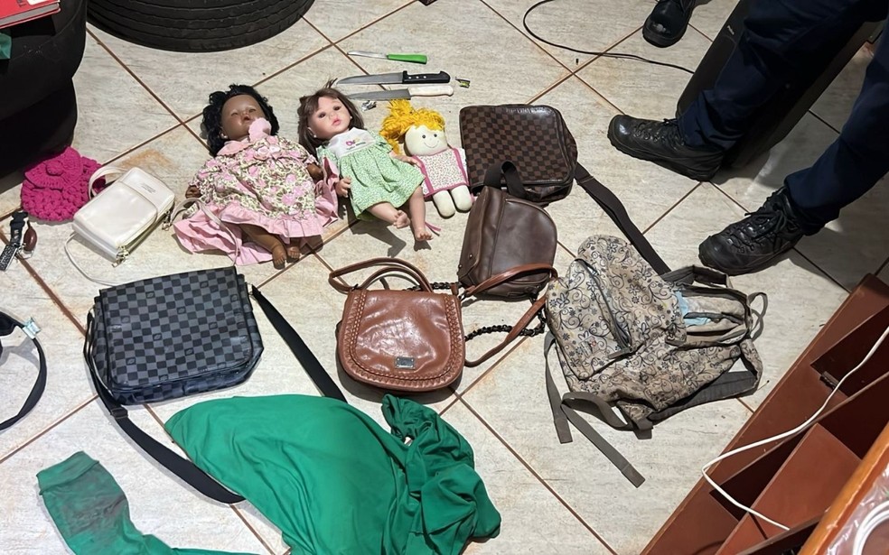 Polícia encontra bolsas femininas na casa de suposto serial killer, em Goiás — Foto: Divulgação/Polícia Civil