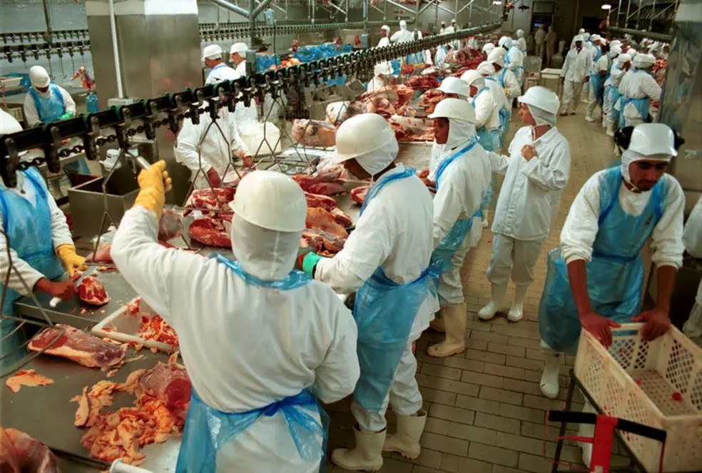 A Froboi estava em condições de abastecer os supermercados e, ao fazê-lo, cresceu cada vez mais — Foto: BBC/ Getty images