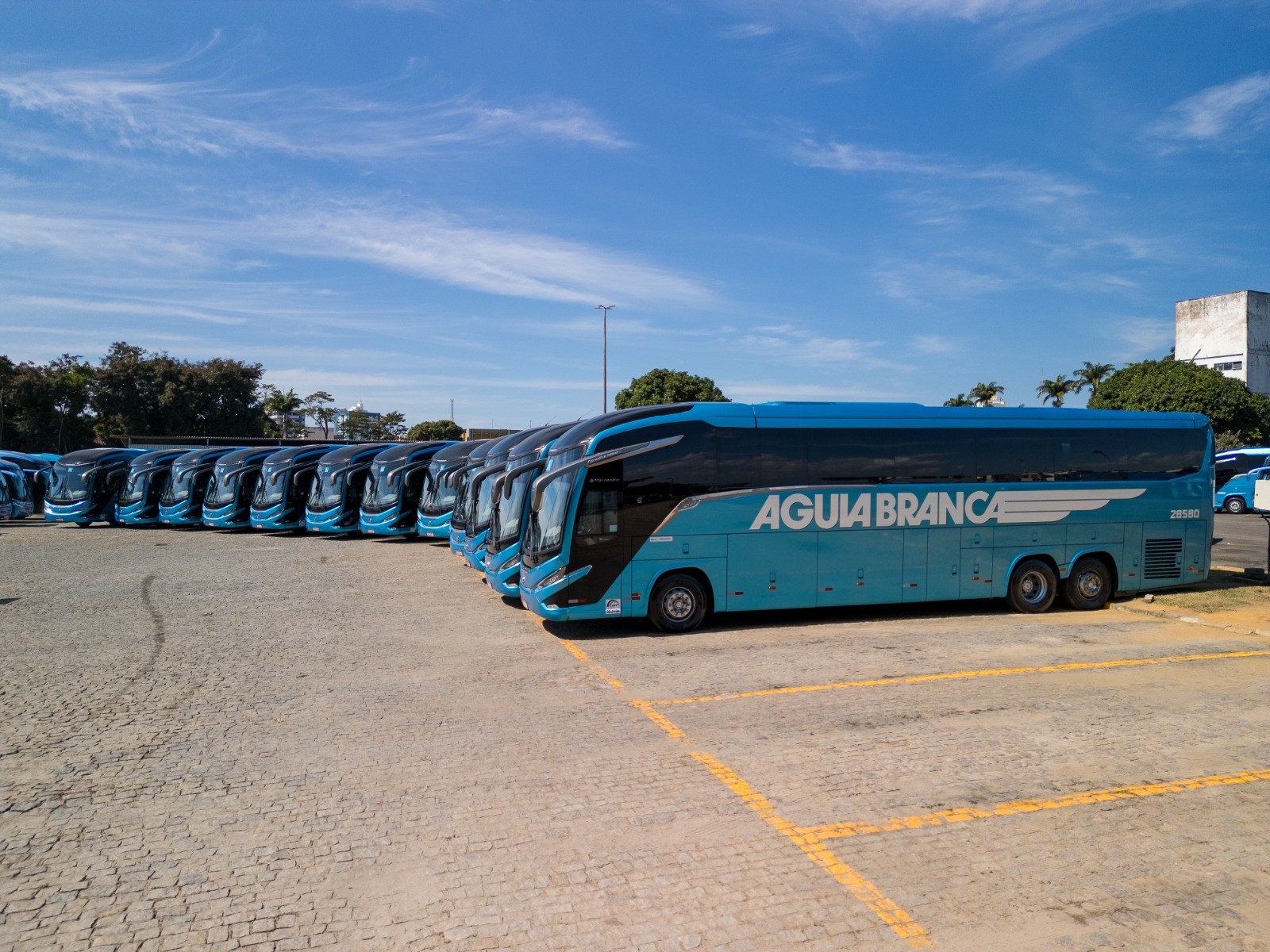 Empresa de ônibus oferece 80 vagas para motoristas na Bahia