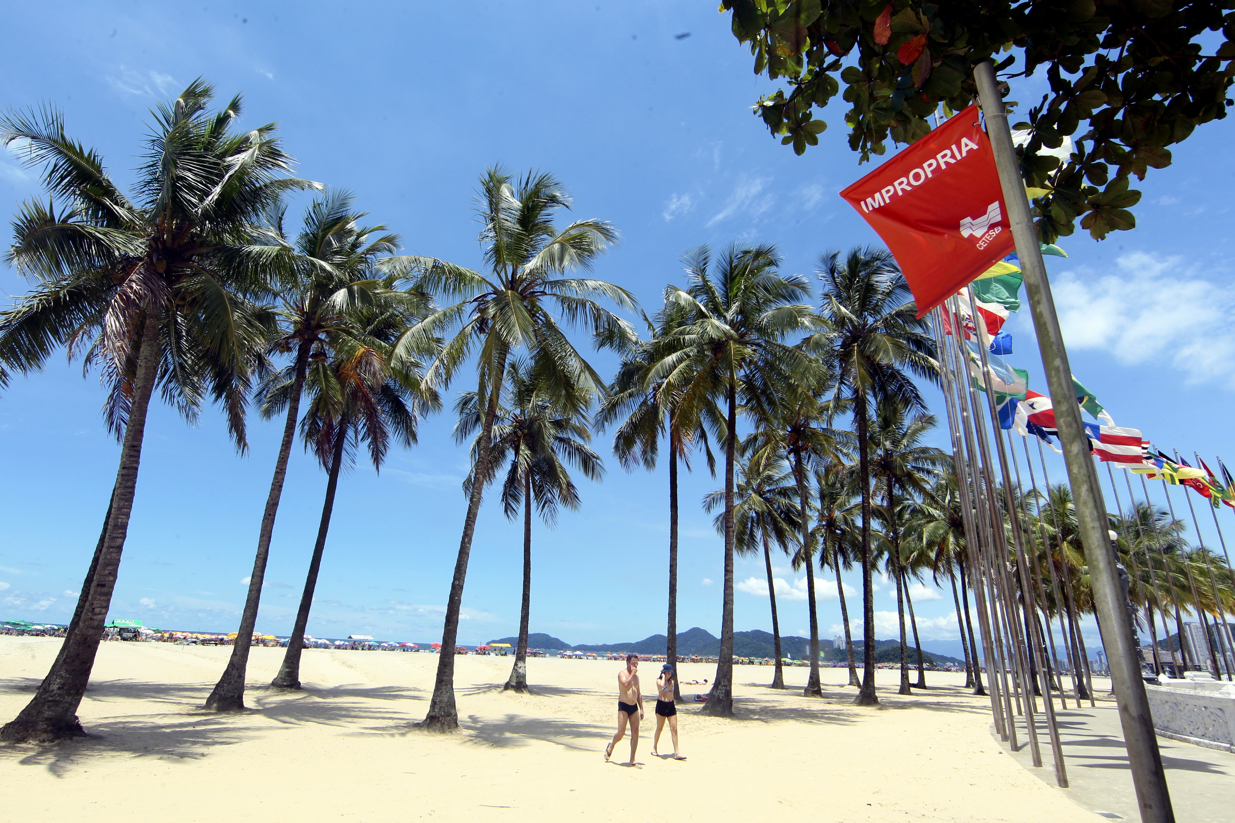 Santos não tem praia própria para banho neste final de semana; veja a situação nas outras cidades