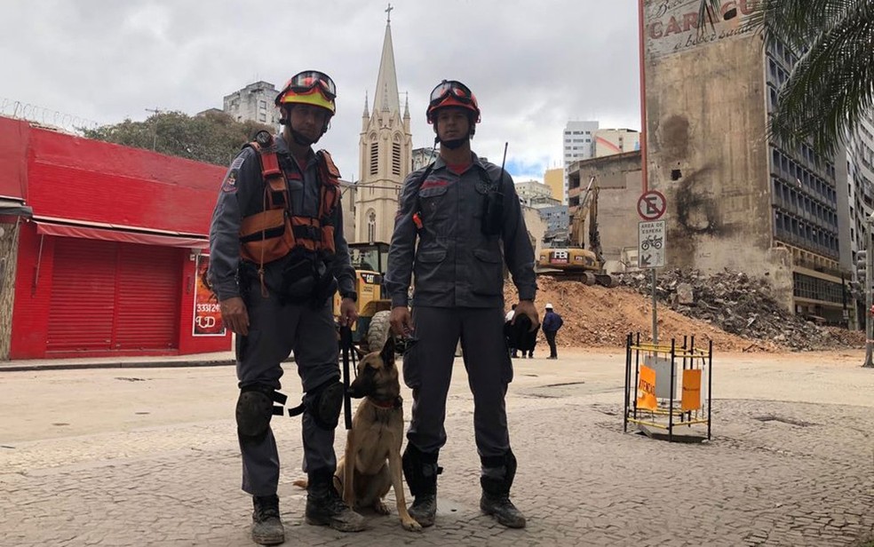 ES envia bombeiros e cadela especialista em buscas para ajudar em resgate  na Turquia, Espírito Santo