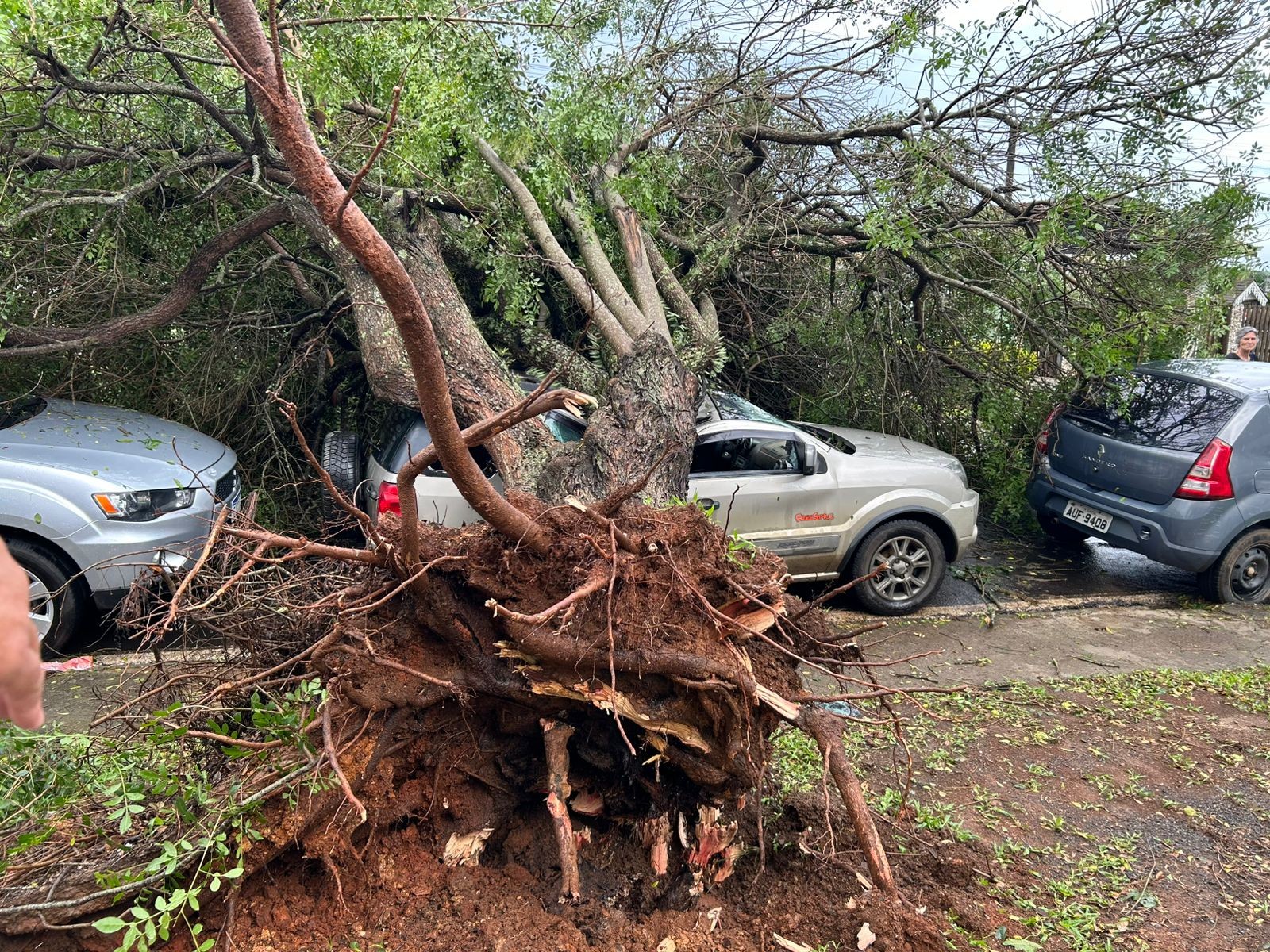 VÍDEO: árvore cai em cima de carro durante tempestade no Paraná