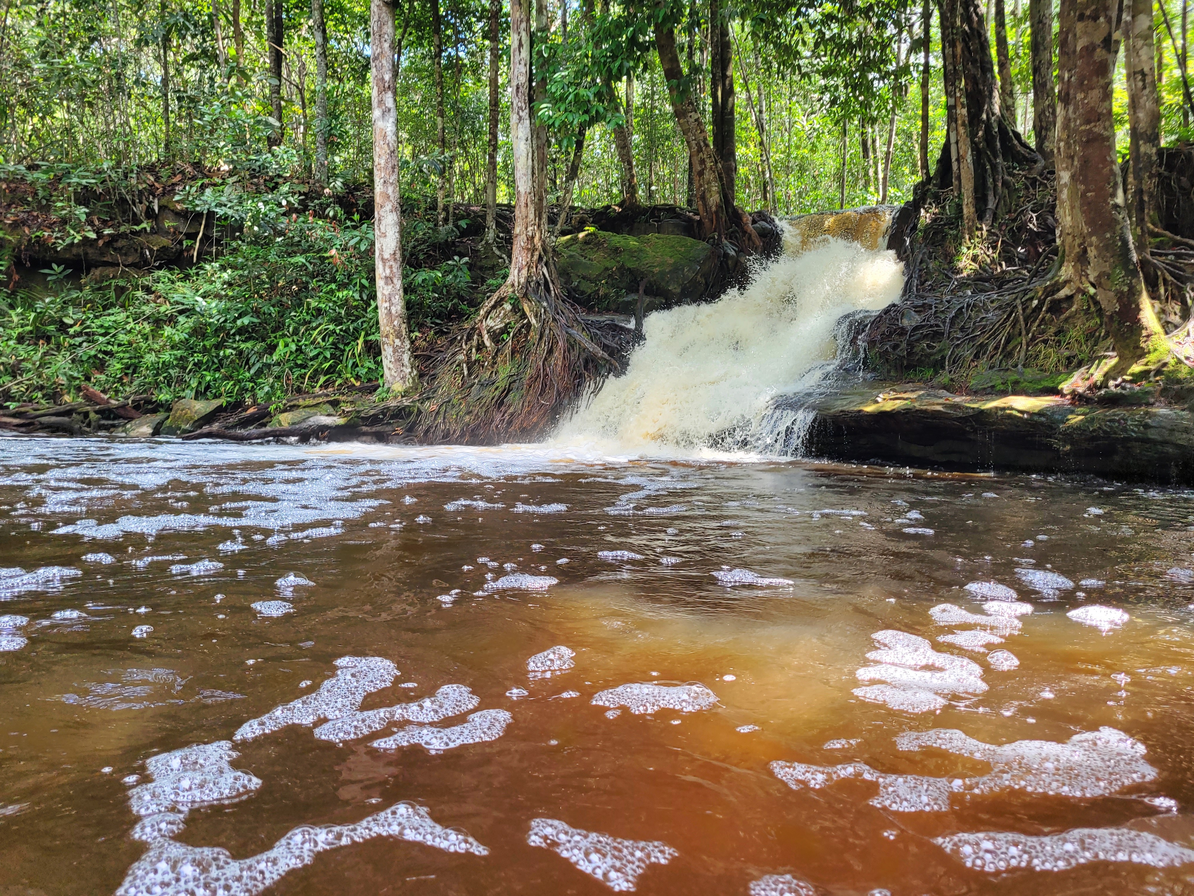 'Terra das Cachoeiras': conheça alguns destinos para aproveitar em Presidente Figueiredo no interior do Amazonas