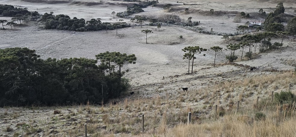 São Joaquim, na Serra catarinense, nesta quarta-feira, 2 de julho — Foto: Mycchel Legnaghi/Divulgação