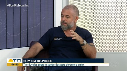 Médico veterinário dá dicas de saúde para pets resgatados