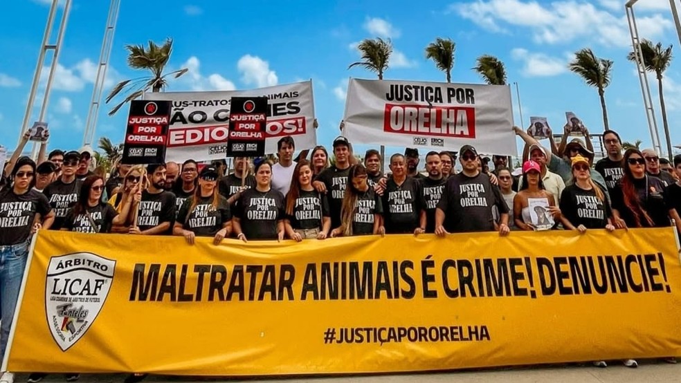 Manifestação em Fortaleza pede justiça por cachorro Orelha morto em Santa Catarina. — Foto: Reprodução