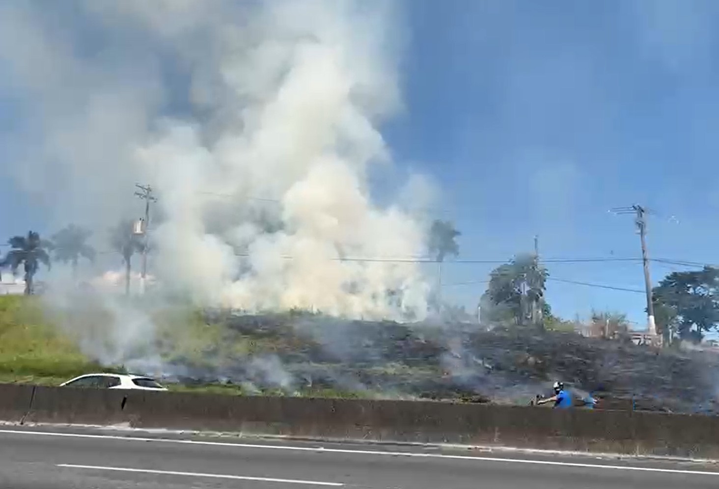 Incêndio consome área de vegetação às margens da Rodovia Dutra, em Caçapava, SP