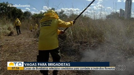 Corpo de Bombeiros abre seleção para brigadistas com mais de 100 vagas