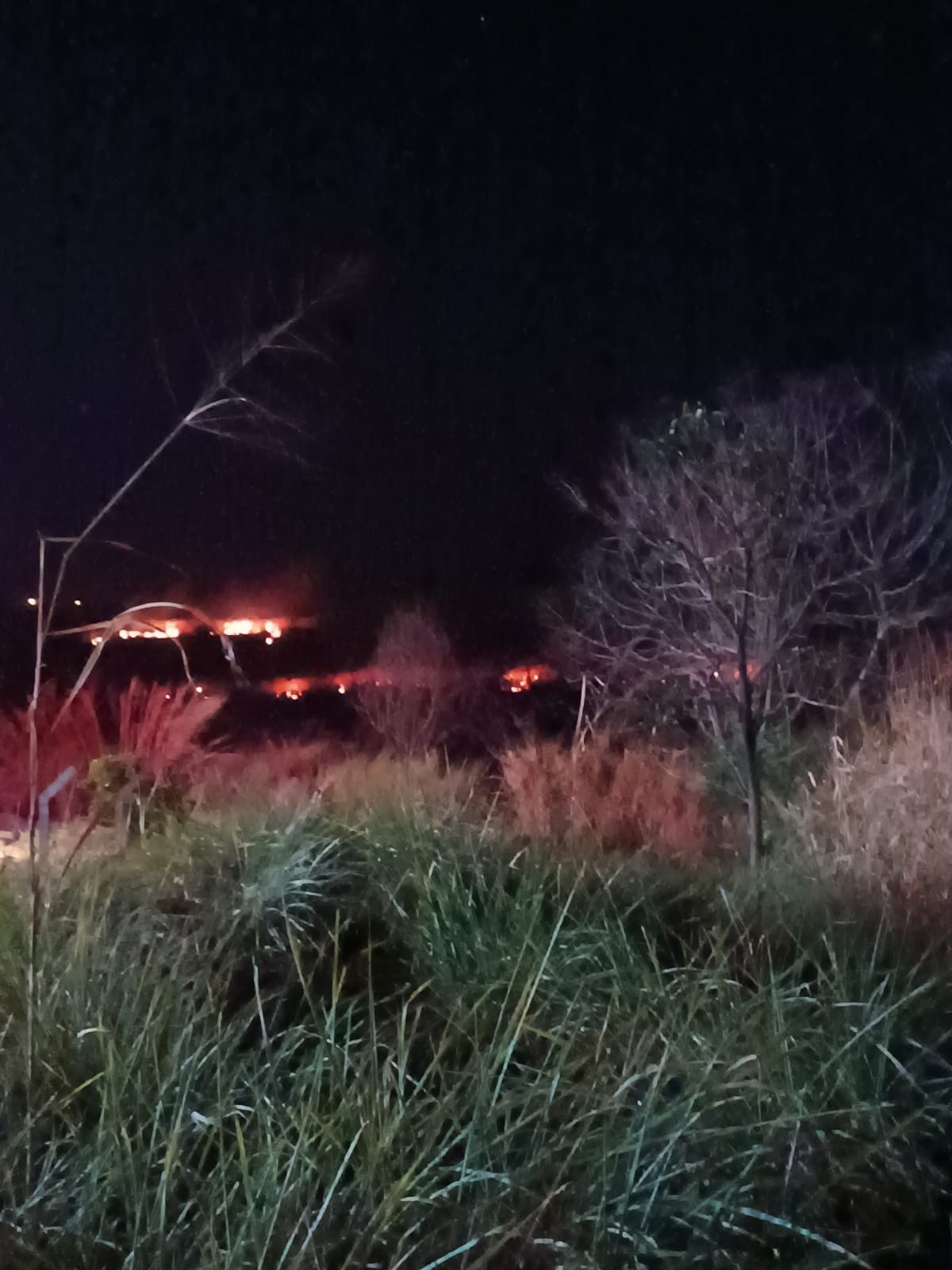 Incêndio em área de mata às margens da Rodovia Luiz de Queiroz deixa fumaça na pista e faixa sentido Piracicaba é fechada