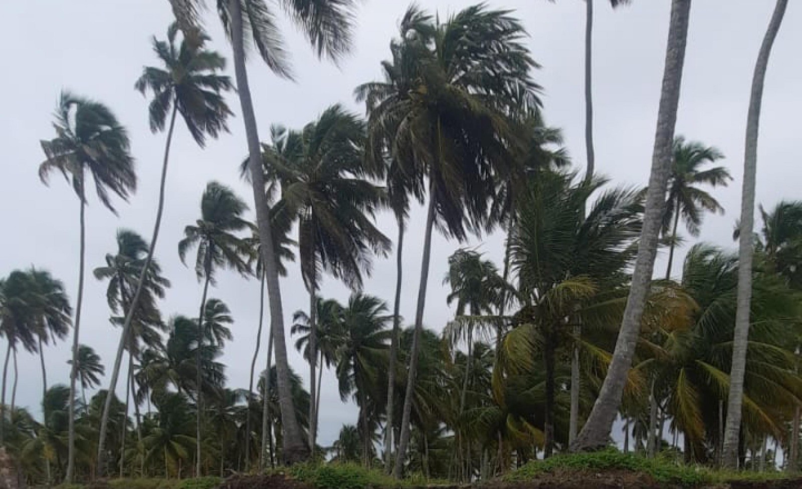 Ventos podem chegar a 70km em Alagoas nos próximos dias, alerta Defesa Civil