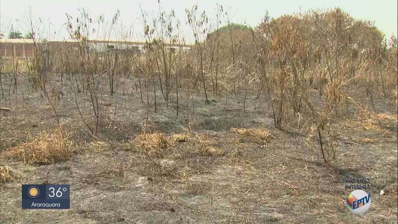 Matão registra 107 focos de incêndio nos seis primeiros meses deste ano ...
