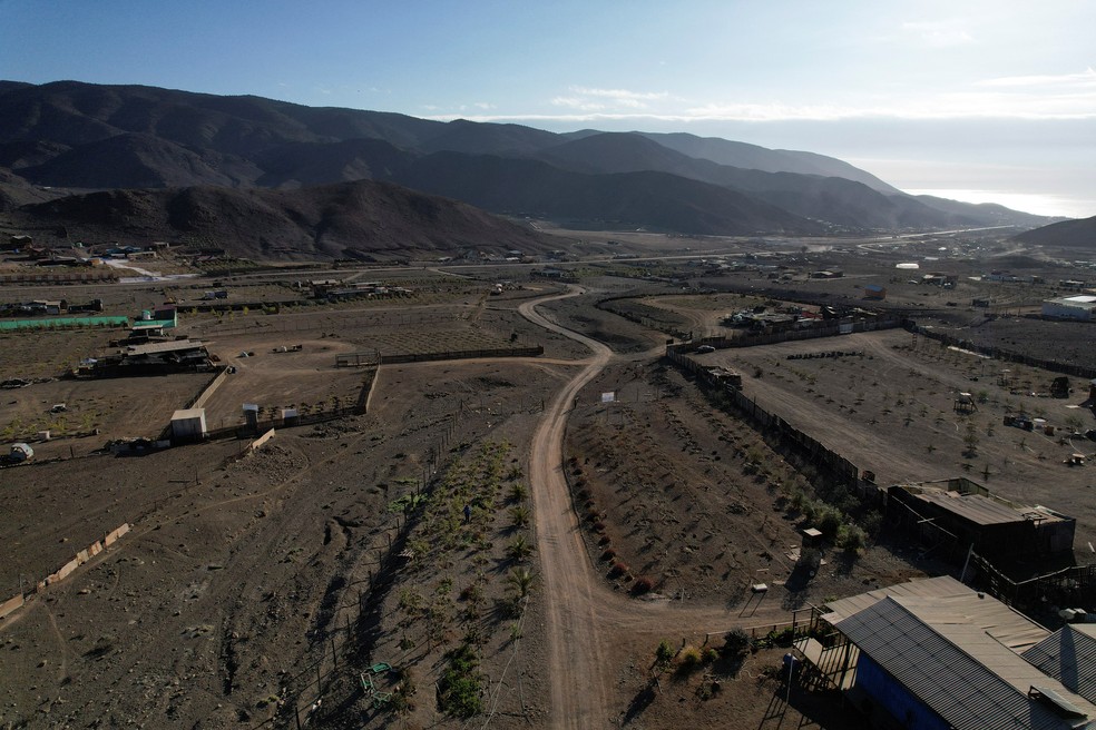 Visão aérea da horta de Maria Salazar, onde ela usa esteiras Agropelo, iniciativa de agricultura sustentável da fundação Matter of Trust Chile, no Deserto do Atacama, em Taltal, Chile — Foto: REUTERS/Pablo Sanhueza