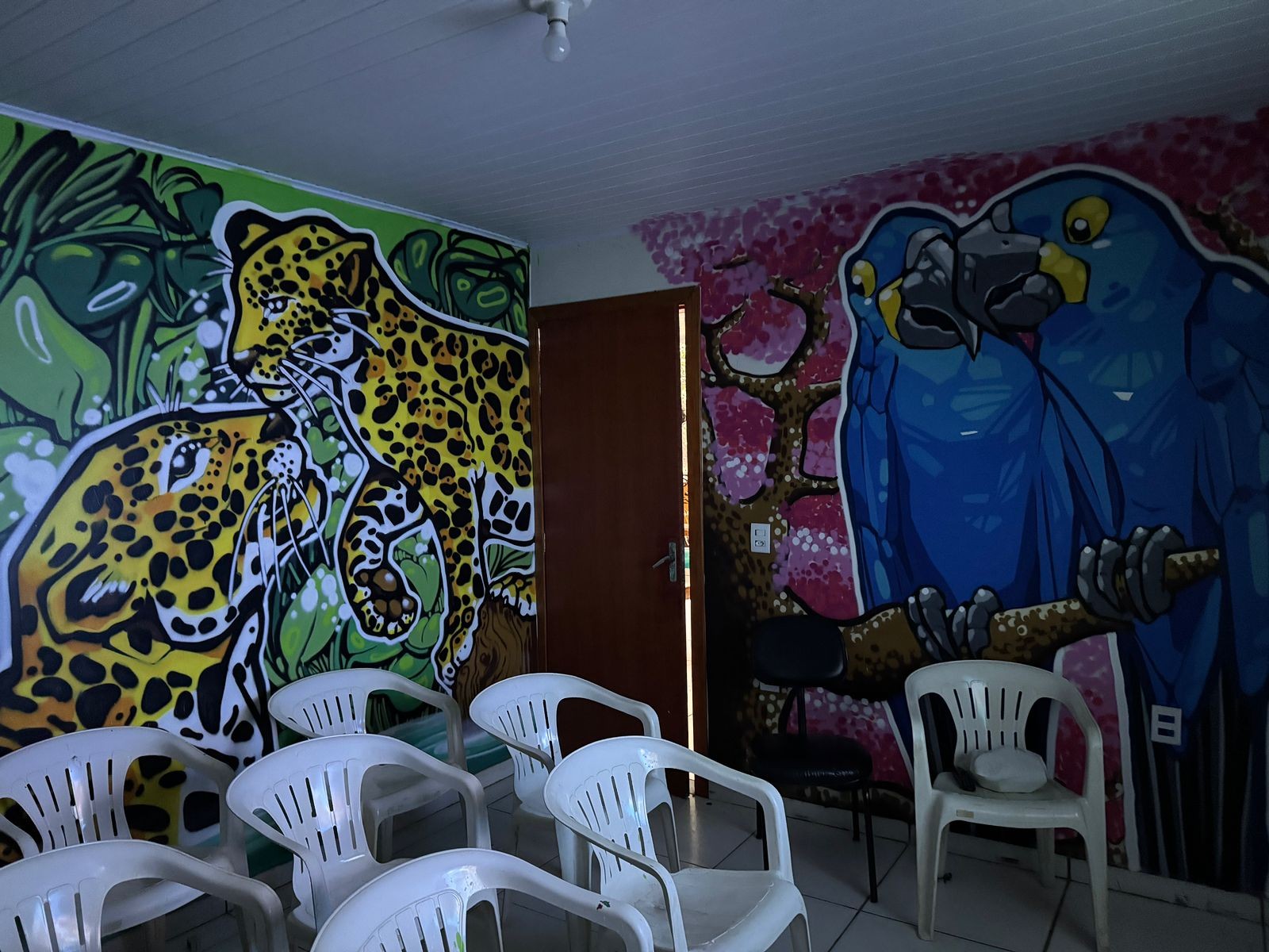 Centro de Educação Ambiental Terra da Onça-Pintada é inaugurado em MT — Foto: Reprodução