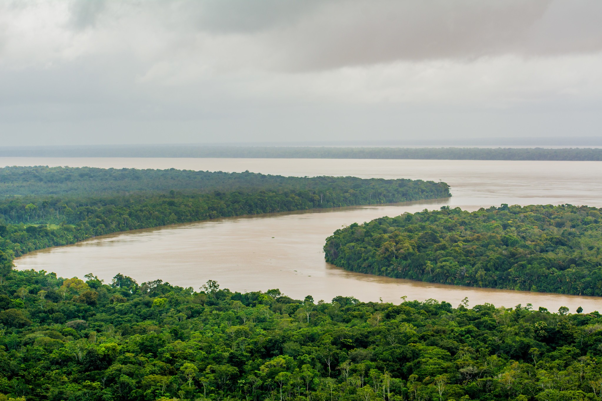 É falso vídeo com sucuri imensa vista em rio no Amazonas | G1