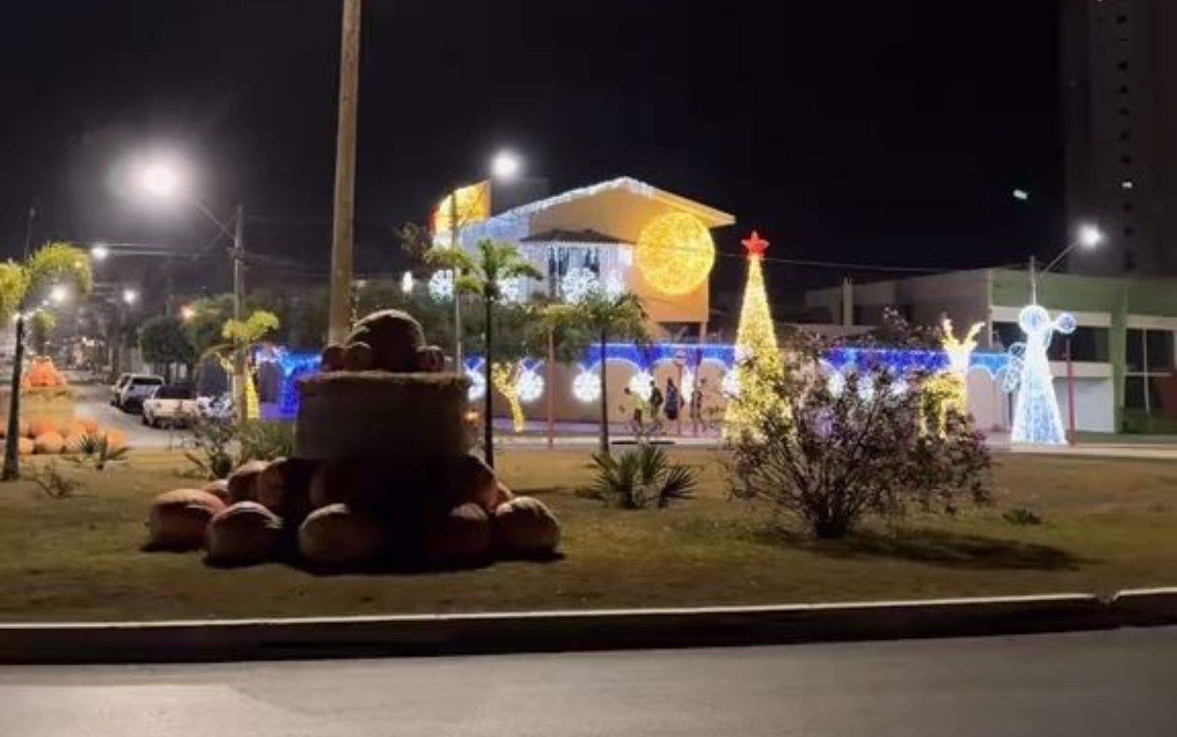 Casa em Rio Verde chama a atenção por decoração antecipada de Natal; vídeo 