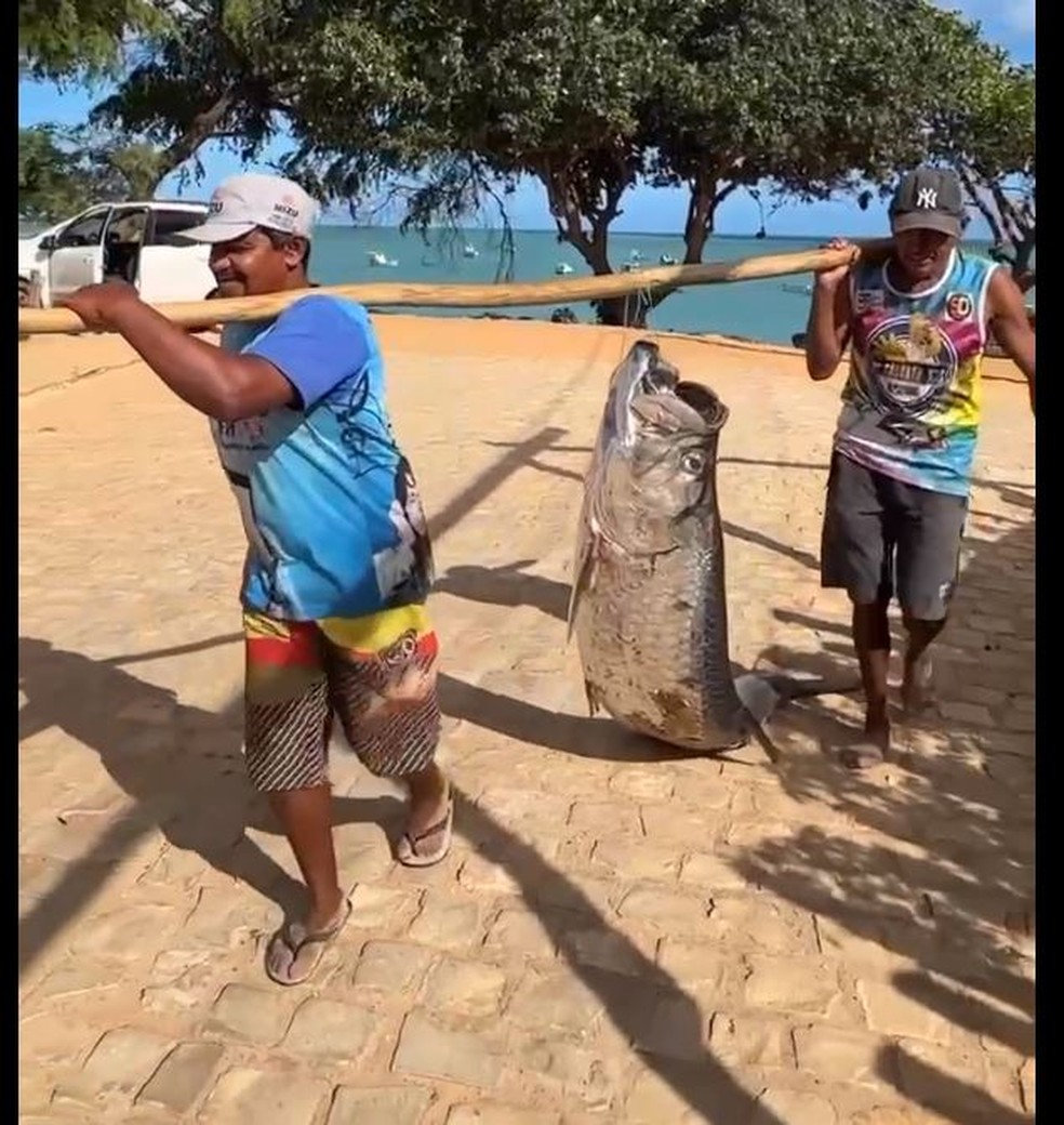 Peixe foi capturado em Cai&ccedil;ara do Norte &mdash; Foto: Sim&aacute;rio Morais