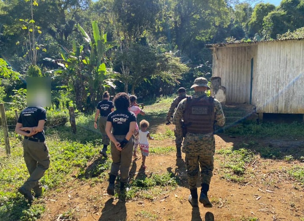 Caso aconteceu em Arataca, nesta sexta (14) — Foto: Companhia Independente de Polícia de Proteção Ambiental (Cippa) 